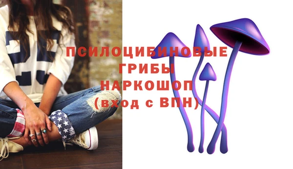 apvp Алексеевка