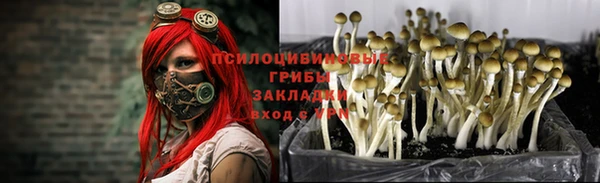 apvp Алексеевка