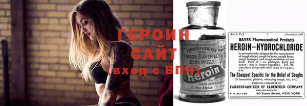 прущие грибы Алзамай