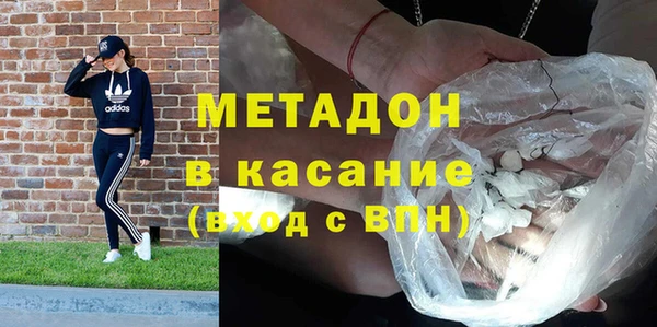 прущие грибы Алзамай