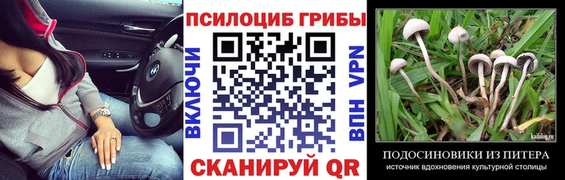 Галлюциногенные грибы ЛСД  цена наркотик  Лодейное Поле 